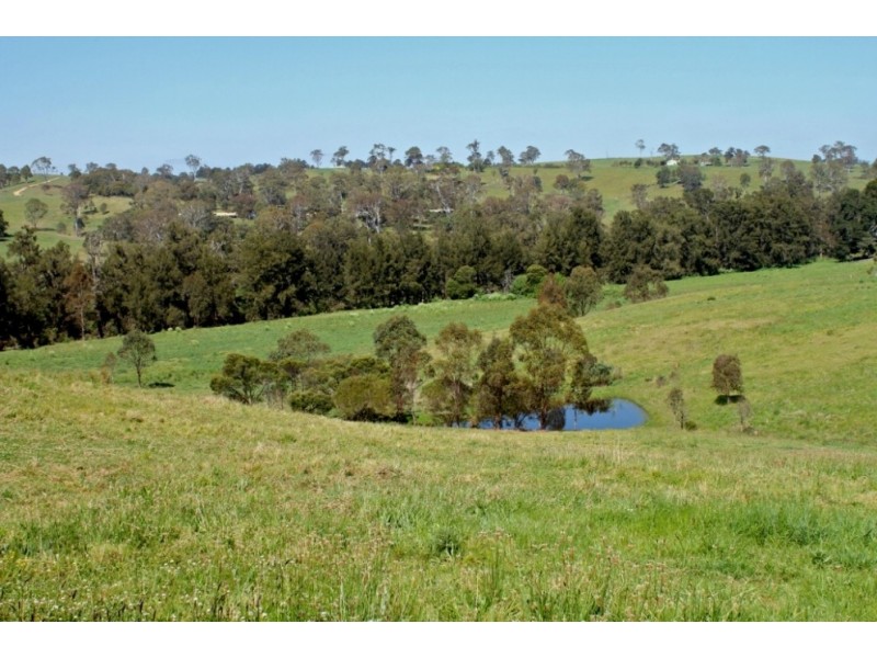 943 Greendale Rd, Angledale NSW 2550