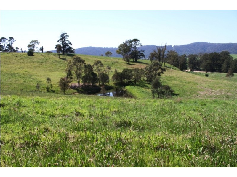 943 Greendale Rd, Angledale NSW 2550