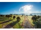 1231 Princes Hwy, Frogs Hollow NSW 2550