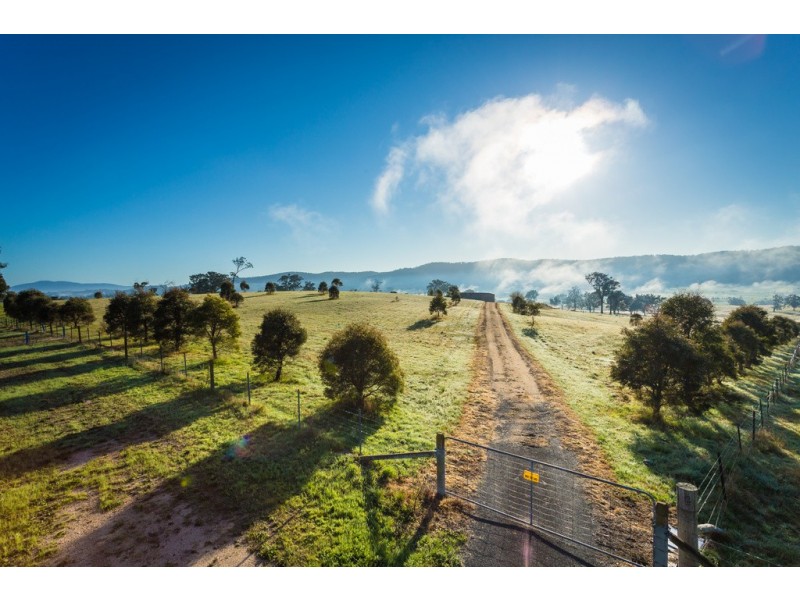 1231 Princes Hwy, Frogs Hollow NSW 2550