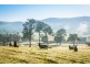1231 Princes Hwy, Frogs Hollow NSW 2550