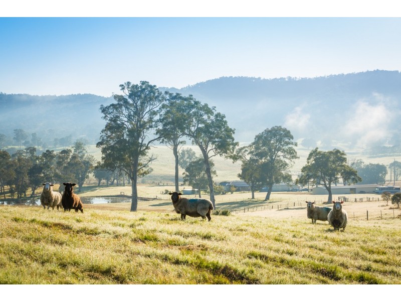 1231 Princes Hwy, Frogs Hollow NSW 2550