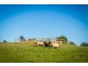 1231 Princes Hwy, Frogs Hollow NSW 2550
