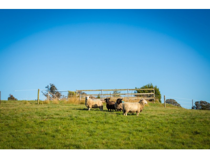 1231 Princes Hwy, Frogs Hollow NSW 2550