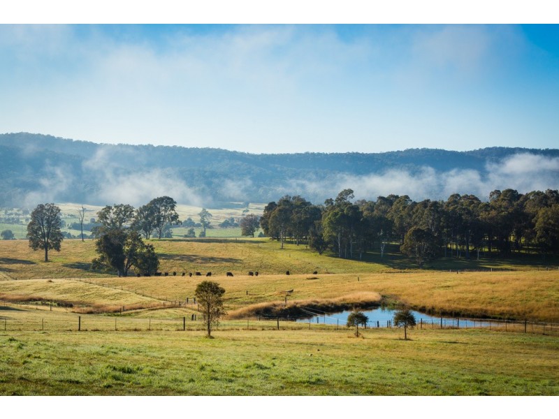 1231 Princes Hwy, Frogs Hollow NSW 2550