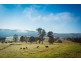 1231 Princes Hwy, Frogs Hollow NSW 2550