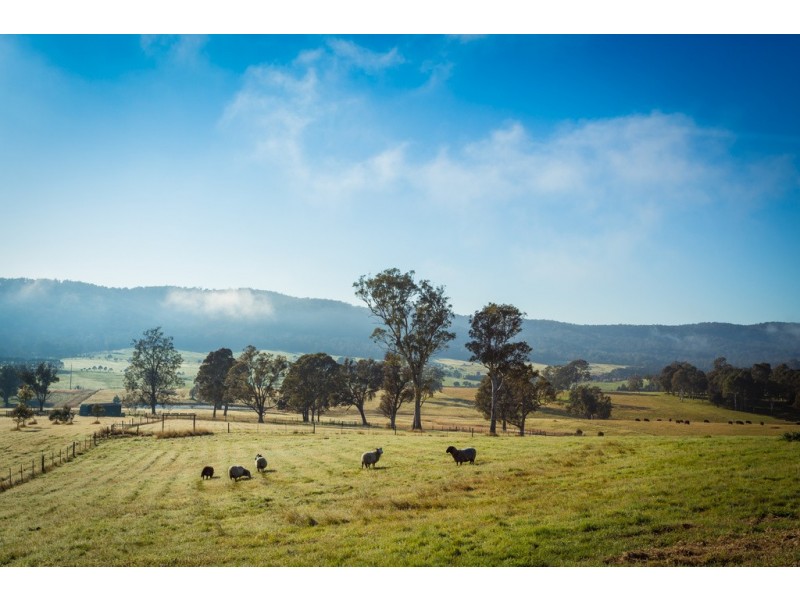1231 Princes Hwy, Frogs Hollow NSW 2550