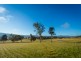1231 Princes Hwy, Frogs Hollow NSW 2550