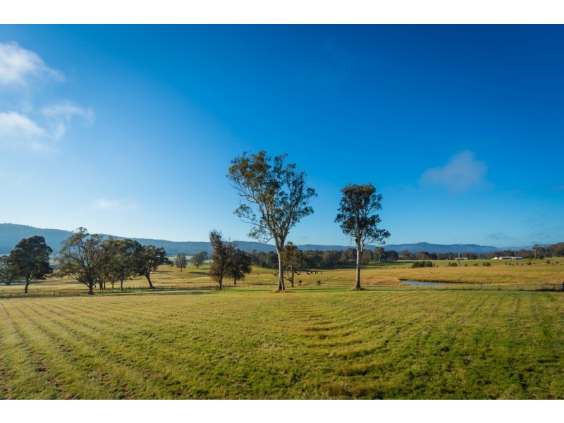 1231 Princes Hwy, Frogs Hollow NSW 2550