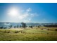 1231 Princes Hwy, Frogs Hollow NSW 2550