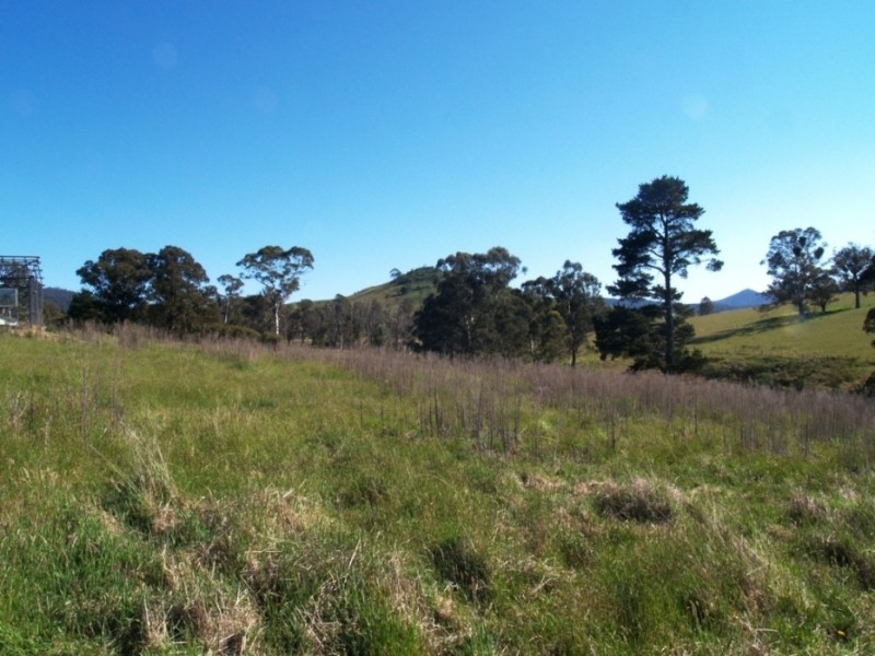 2340 Mount Darragh Rd, Wyndham NSW 2550