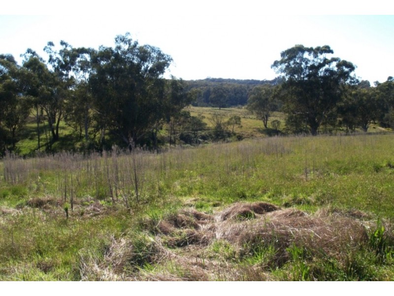 2340 Mount Darragh Rd, Wyndham NSW 2550