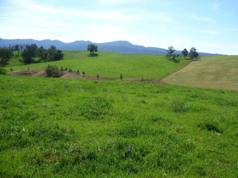 Lot 137 Snowy Mtns Hwy, Bemboka NSW 2550