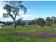 Lot 221 Glen Mia Dr, Bega NSW 2550