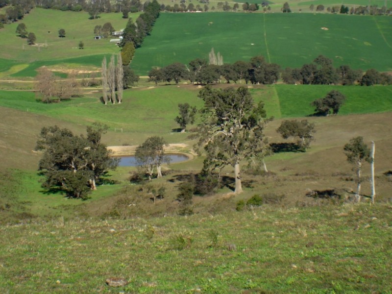 178 Wyndham Lane, Toothdale NSW 2550