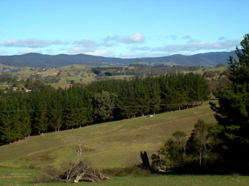 178 Wyndham Lane, Toothdale NSW 2550