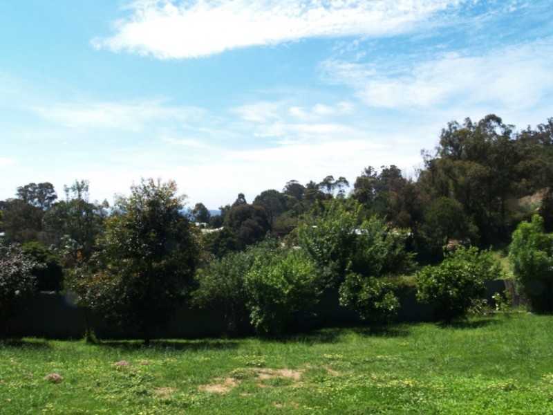 9 Scott St, Wolumla NSW 2550