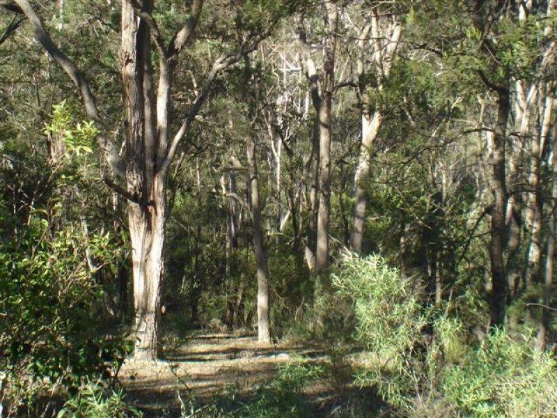 Lot 191 Hore Lacey Road, Quaama NSW 2550