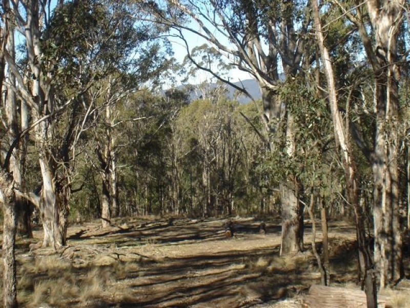 Lot 191 Hore Lacey Road, Quaama NSW 2550