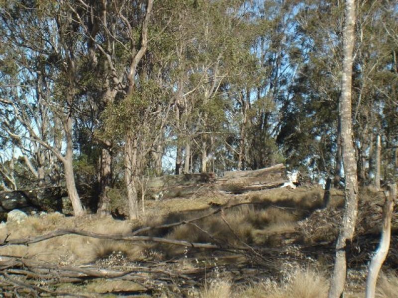 Lot 191 Hore Lacey Road, Quaama NSW 2550