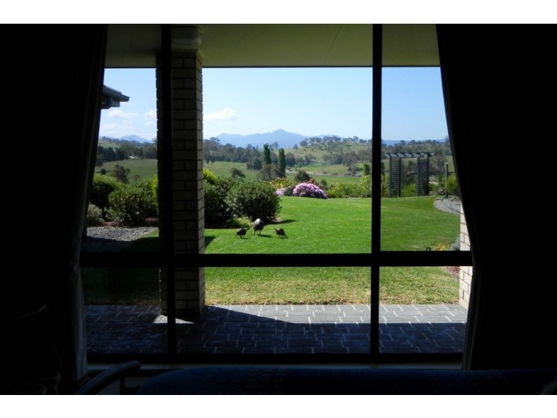 214 Slaters Lane, Candelo NSW 2550