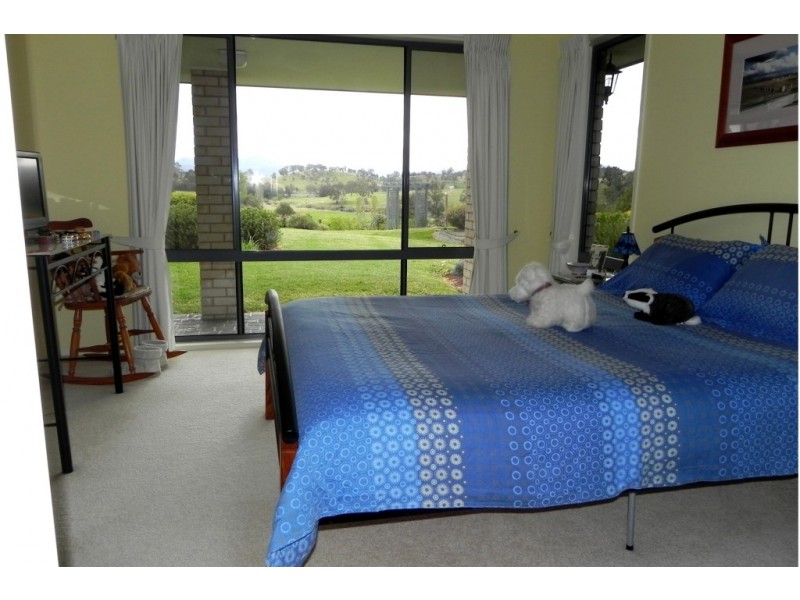 214 Slaters Lane, Candelo NSW 2550