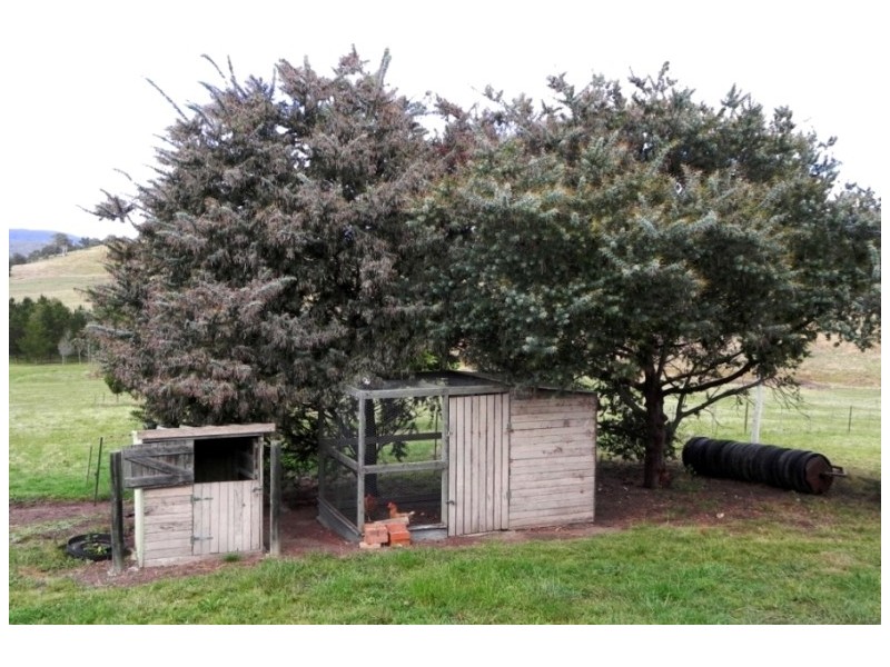 214 Slaters Lane, Candelo NSW 2550