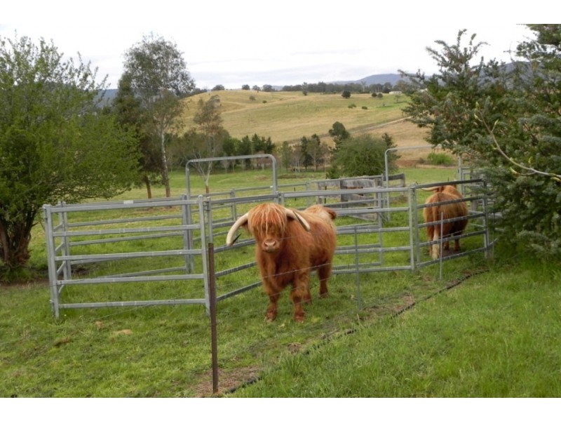 214 Slaters Lane, Candelo NSW 2550