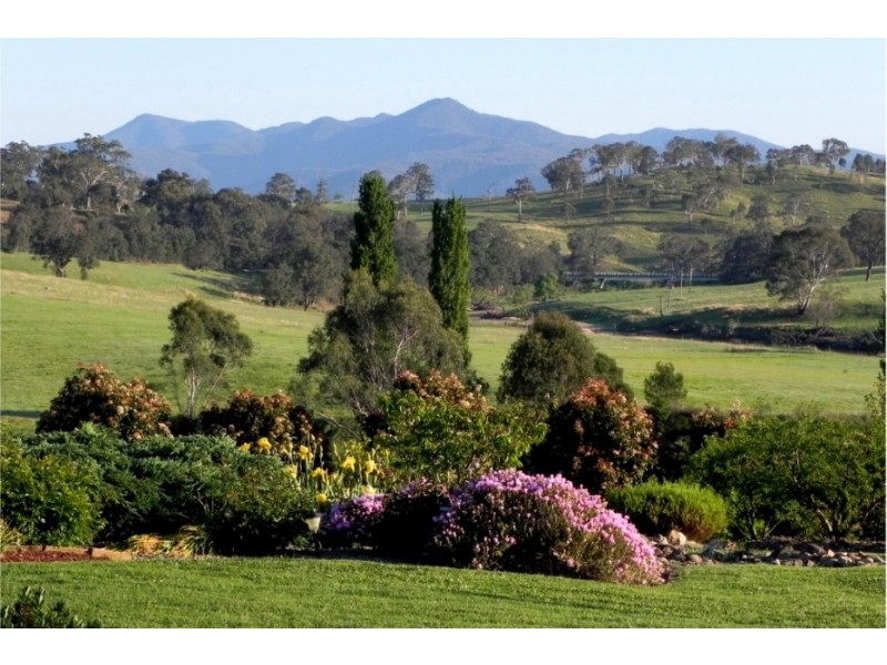 214 Slaters Lane, Candelo NSW 2550