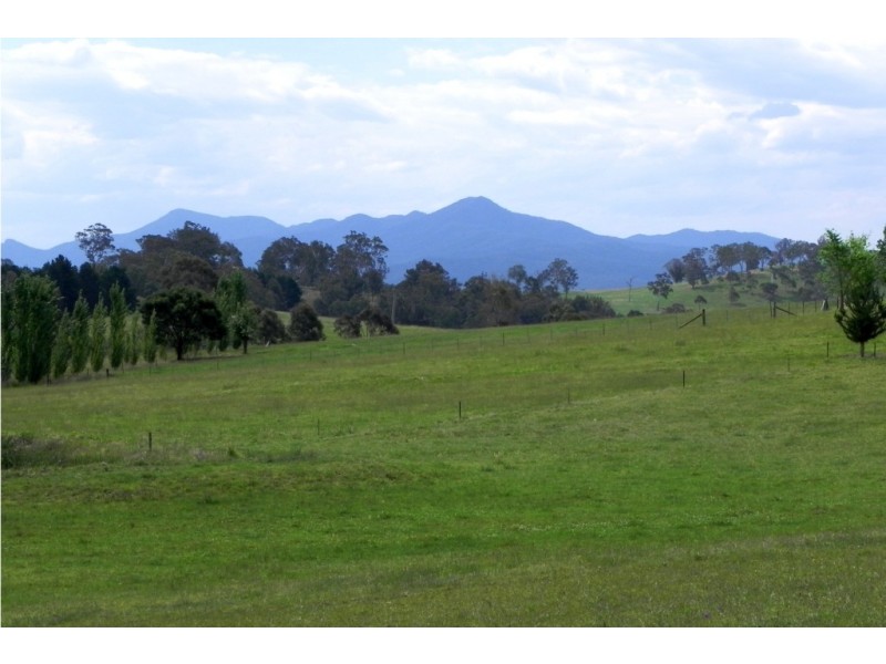 214 Slaters Lane, Candelo NSW 2550