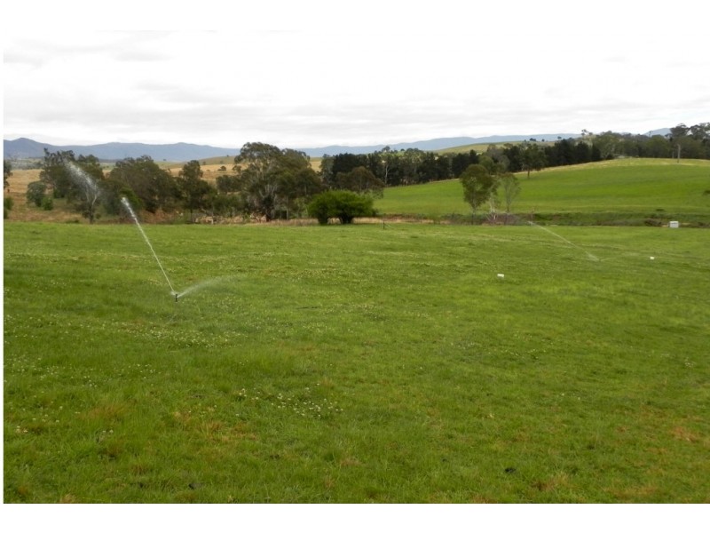 214 Slaters Lane, Candelo NSW 2550