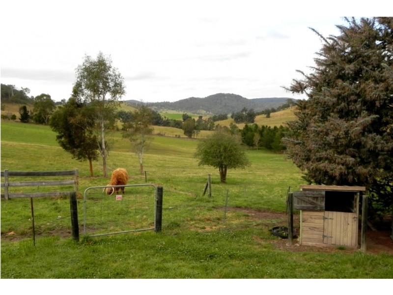 214 Slaters Lane, Candelo NSW 2550