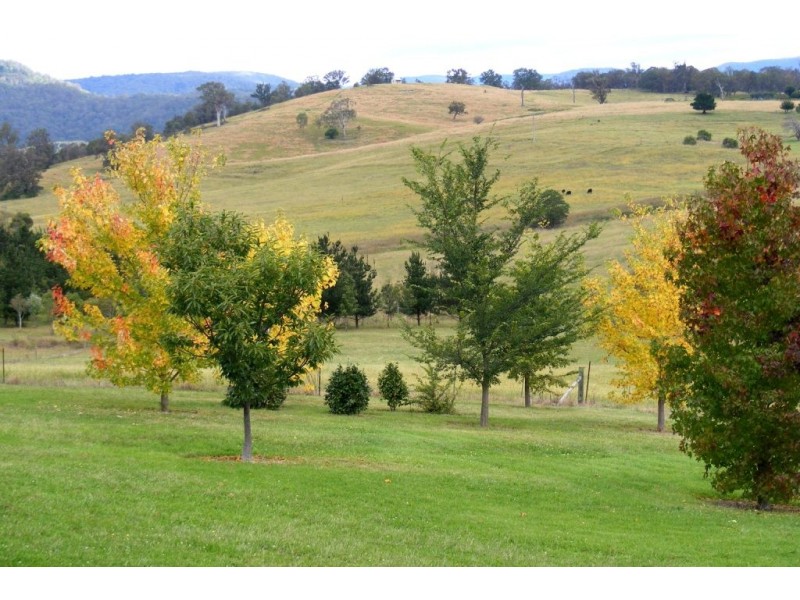 214 Slaters Lane, Candelo NSW 2550