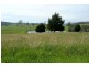 Lot 50 Wandella Rd, Cobargo NSW 2550