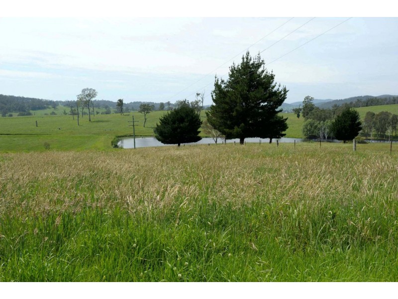 Lot 50 Wandella Rd, Cobargo NSW 2550