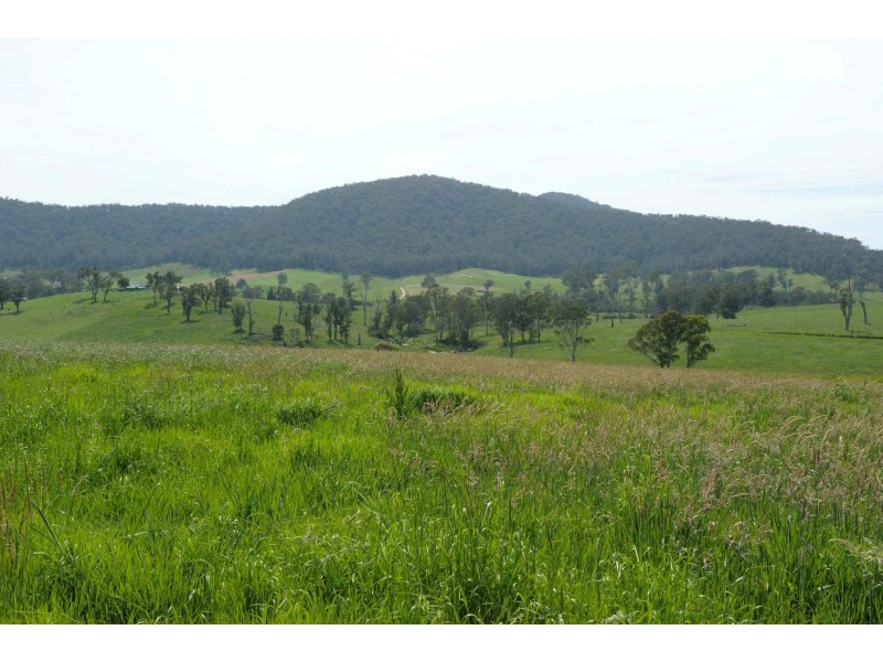Lot 50 Wandella Rd, Cobargo NSW 2550