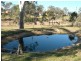 542 Candelo Wolumla Road, Wolumla NSW 2550