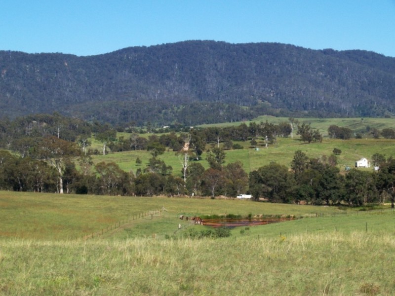 Lot 11 Slaters Lane, Candelo NSW 2550