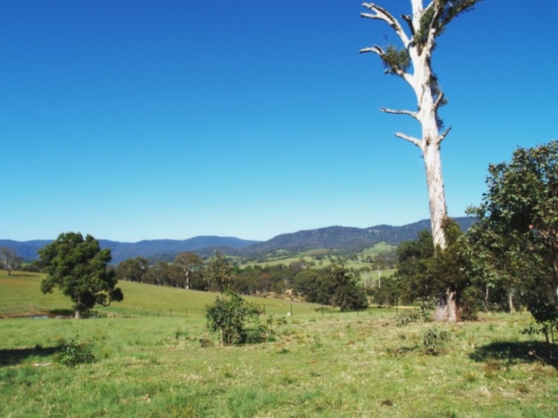 Lot 11 Slaters Lane, Candelo NSW 2550