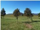 Lot 11 Slaters Lane, Candelo NSW 2550