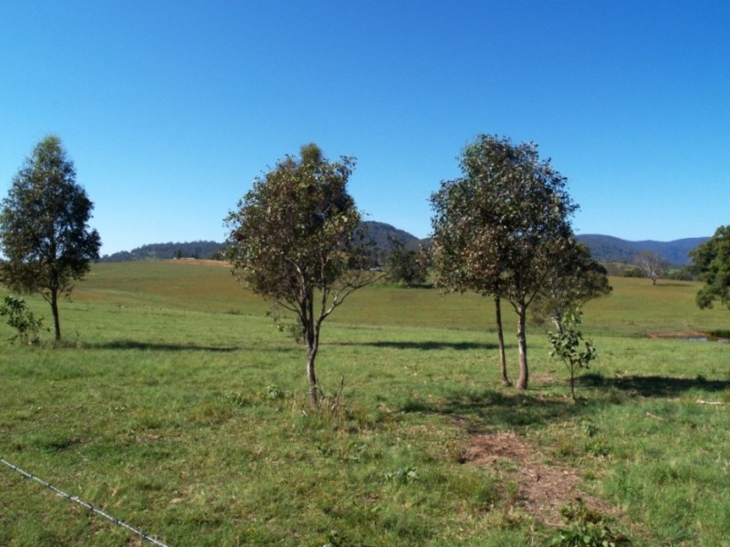 Lot 11 Slaters Lane, Candelo NSW 2550