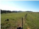 Lot 11 Slaters Lane, Candelo NSW 2550