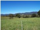 Lot 11 Slaters Lane, Candelo NSW 2550