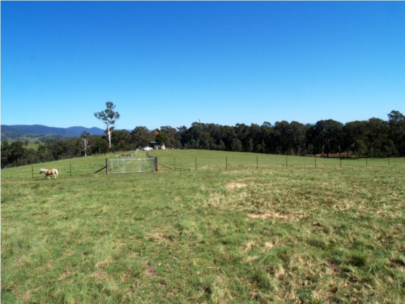 Lot 11 Slaters Lane, Candelo NSW 2550