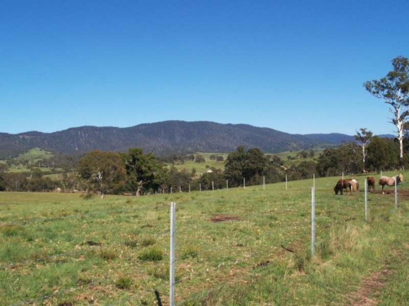 Lot 11 Slaters Lane, Candelo NSW 2550