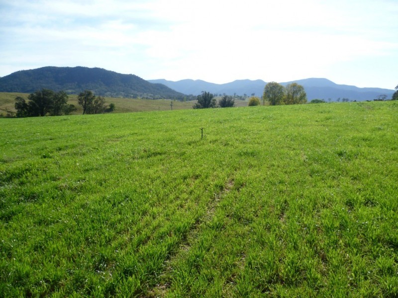 Lot 137 Snowy Mtns Hwy, Bemboka NSW 2550