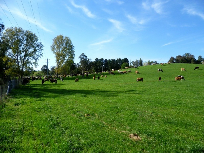 Lot 137 Snowy Mtns Hwy, Bemboka NSW 2550