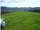 Lot 137 Snowy Mtns Hwy, Bemboka NSW 2550