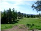 Lot 137 Snowy Mtns Hwy, Bemboka NSW 2550