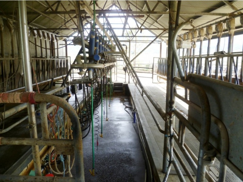 Lot 137 Snowy Mtns Hwy, Bemboka NSW 2550